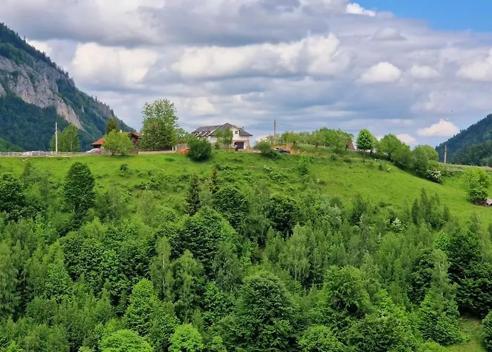 The Origin ● Mountain Guesthouse ● Magura