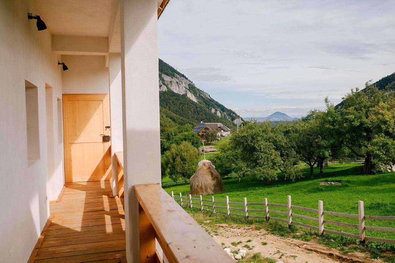 The Origin ● Mountain ● * Magura (Brasov)
