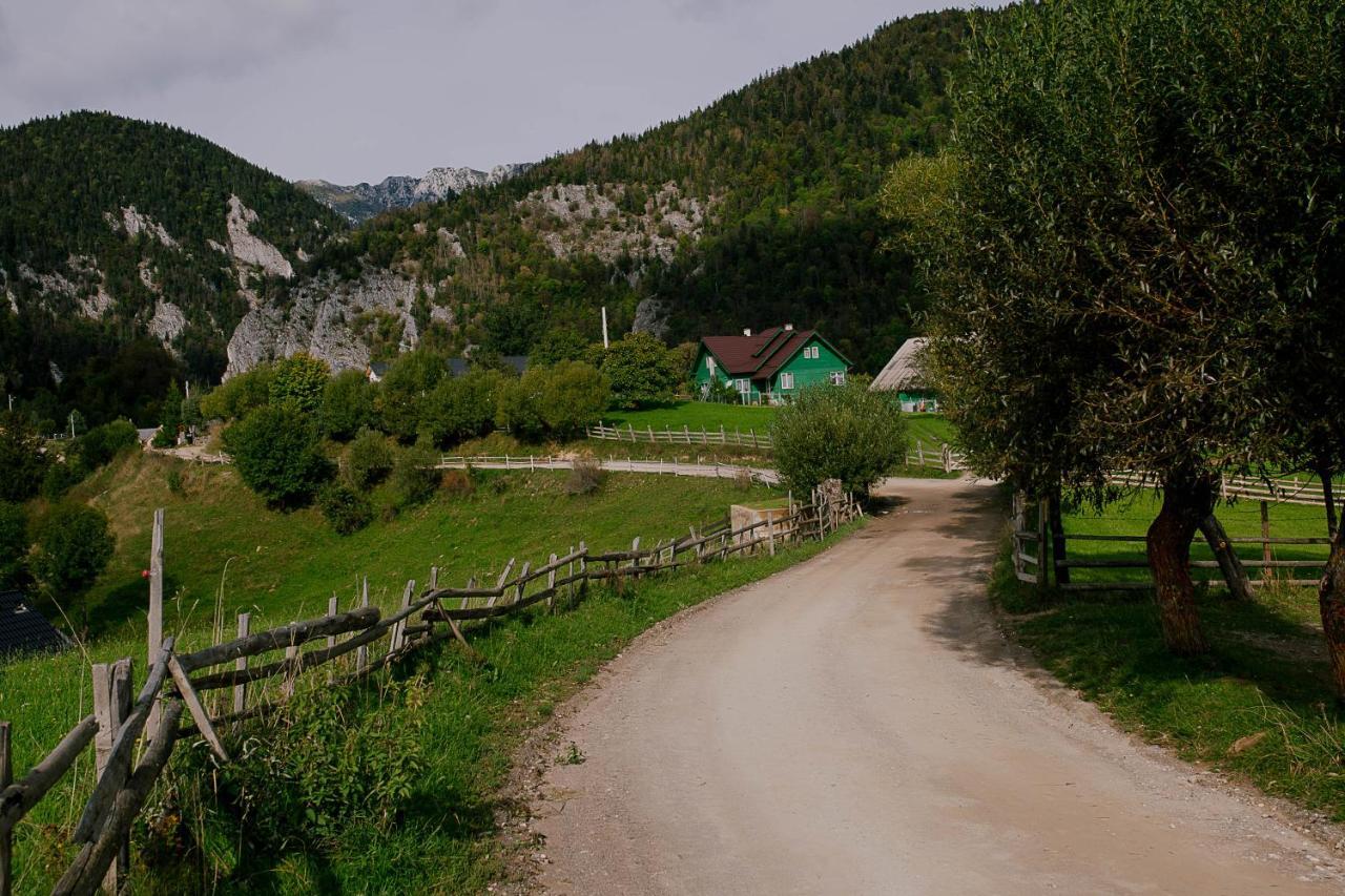 The Origin ● Mountain ● Holiday home Magura (Brasov)