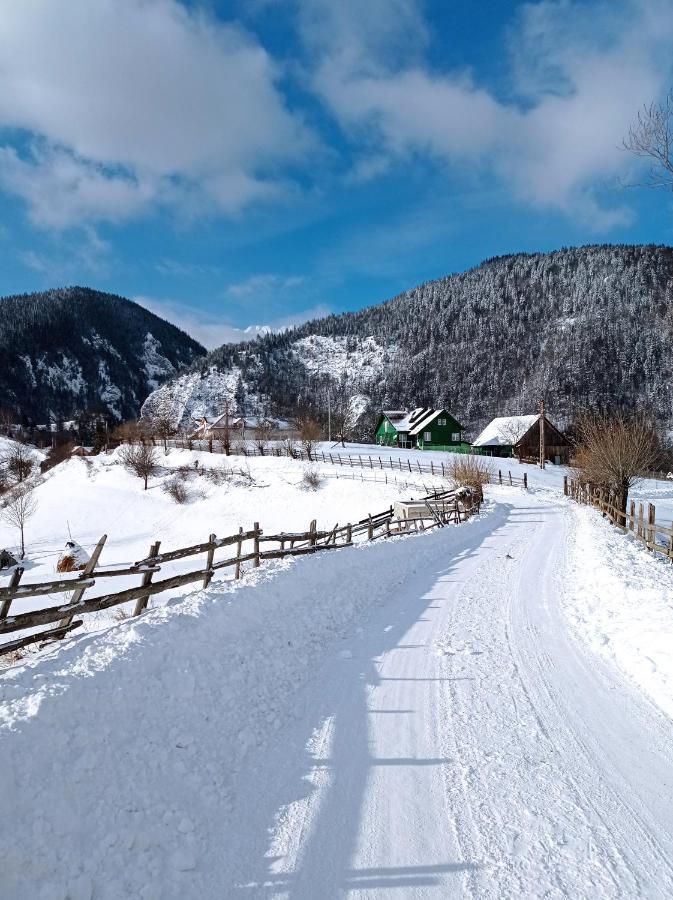 Holiday home The Origin ● Mountain ● Magura (Brasov)