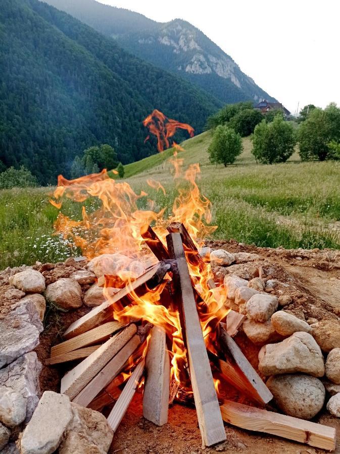 The Origin ● Mountain ● Magura (Brasov)