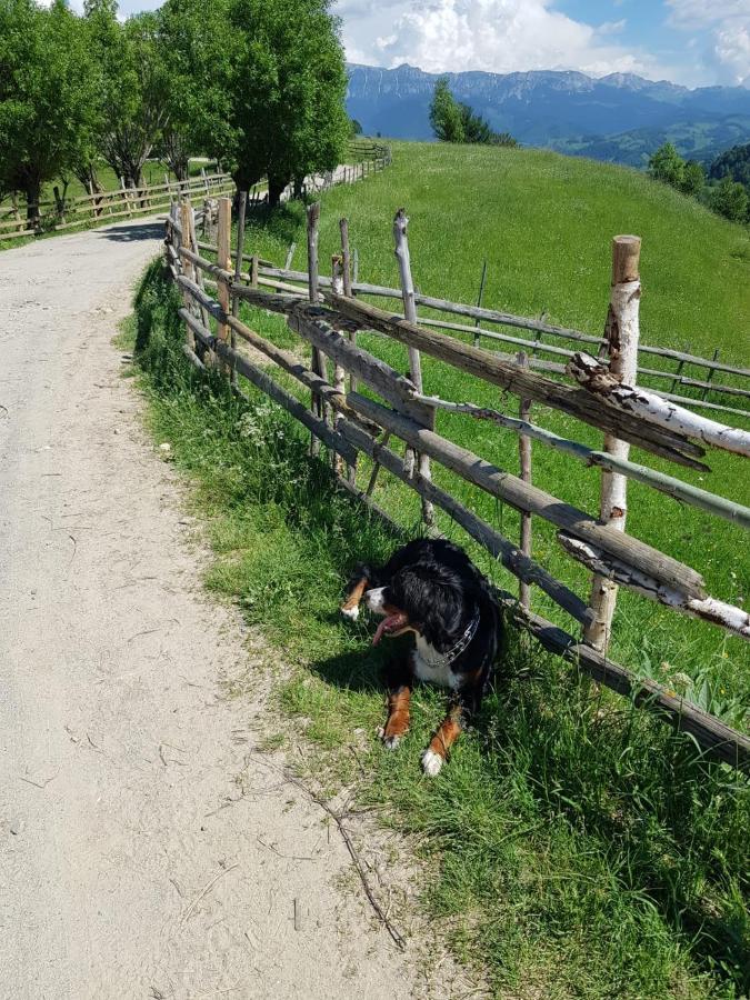 The Origin ● Mountain ● Holiday home Magura (Brasov)