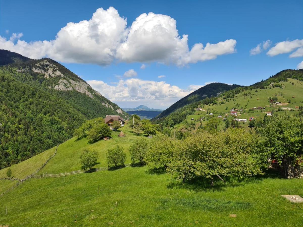 Holiday home The Origin ● Mountain ●