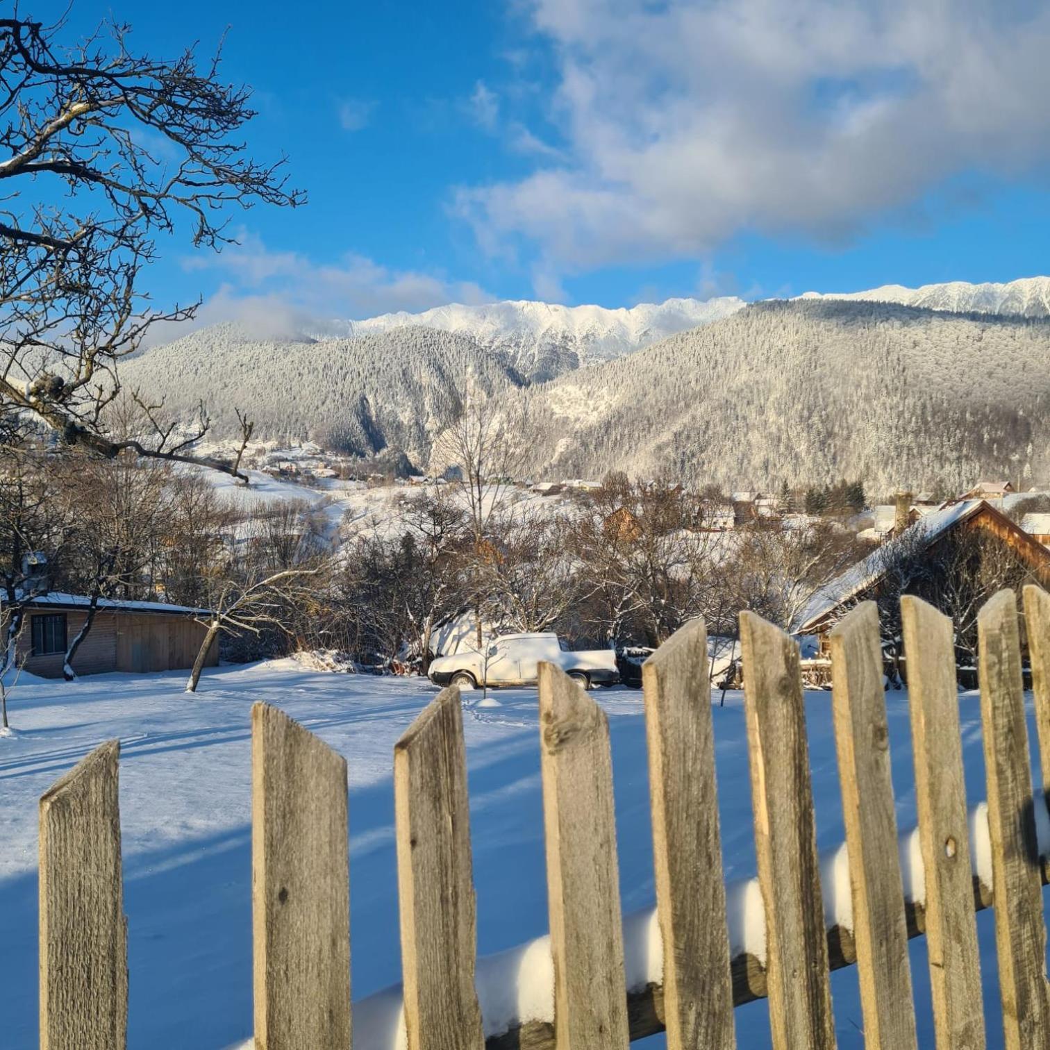 The Origin ● Mountain ● Holiday home